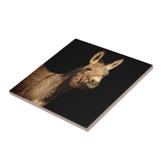 De Donkey Tegeltje (Zijkant)