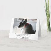 De Dood van het huisdier, Sympathie Kaart (Achterkant)