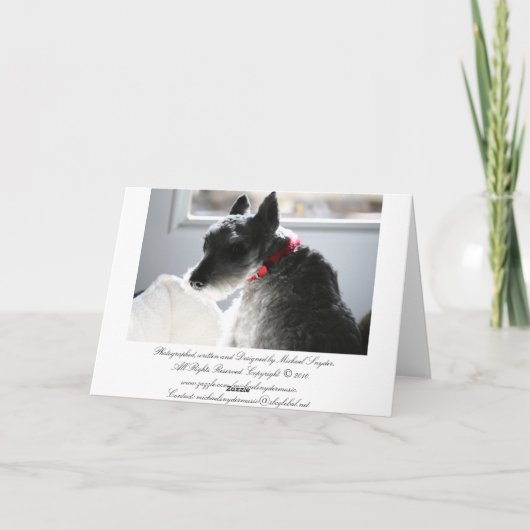 De Dood van het huisdier, Sympathie Kaart (Achterkant)