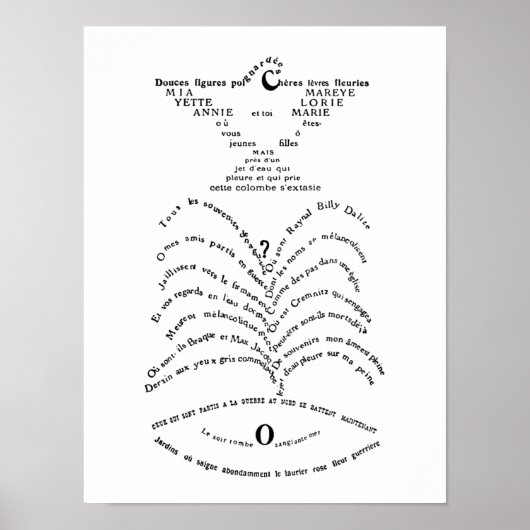 De doorboorde duif en de waterspuwer poster (Voorkant)