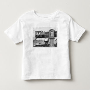 De doorvoer van Venus Kinder Shirts