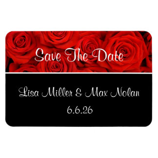 De douane bewaart de Magnet van de Datum Magneet