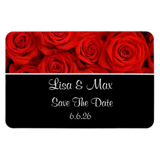 De douane bewaart de Magnet van de Datum Magneet