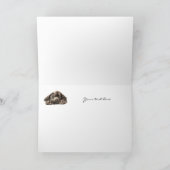 De douane wordt goed spoedig, de Droevige Blauw Kaart (Binnen)