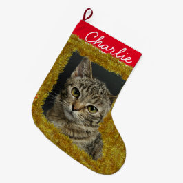 De Douanefoto/de Naam Kleine Kerstmiskous van Pet Grote Kerstsok