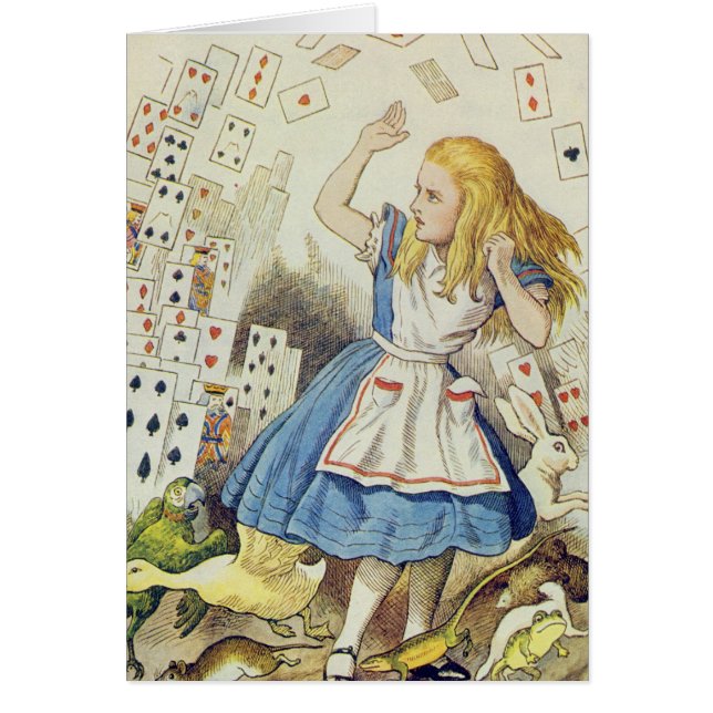 De douche van kaarten (Voorkant)