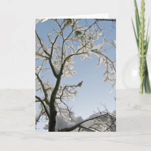 De Dove antwoordt: "Noel." Feestdagen Kaart