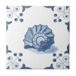 De Draai van Shell van de Schrapping Spiral met de Tegeltje