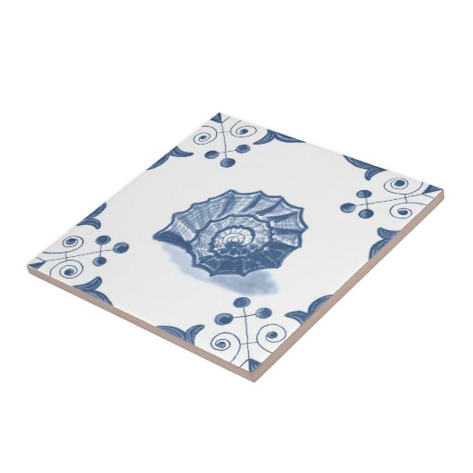 De Draai van Shell van de Schrapping Spiral met de Tegeltje (Zijkant)