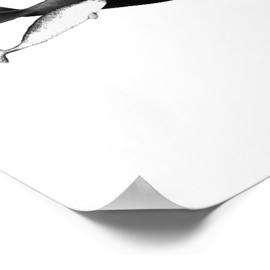 De draai van walviskunst poster (Hoek)