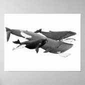 De draai van walviskunst poster (Voorkant)