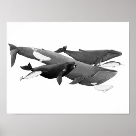 De draai van walviskunst poster