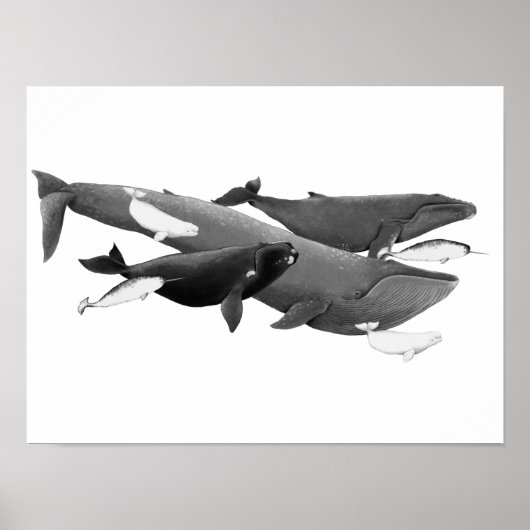 De draai van walviskunst poster (Voorkant)