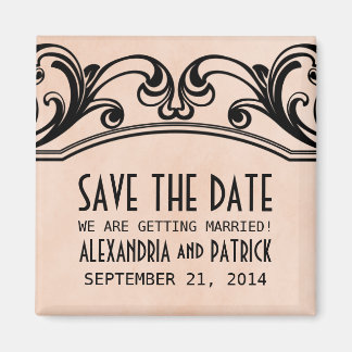 De  Draaien van het peach sparen de Magnet van de 