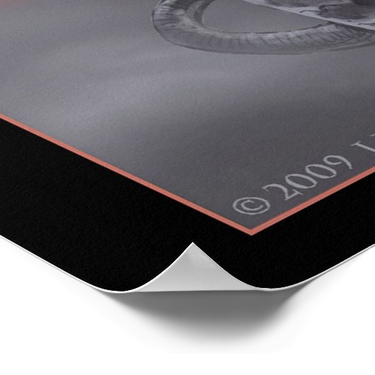 De draak van wanhoop poster (Hoek)