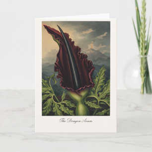 De Dragon Arum — Moderne Botanische Herinterpretat Kaart