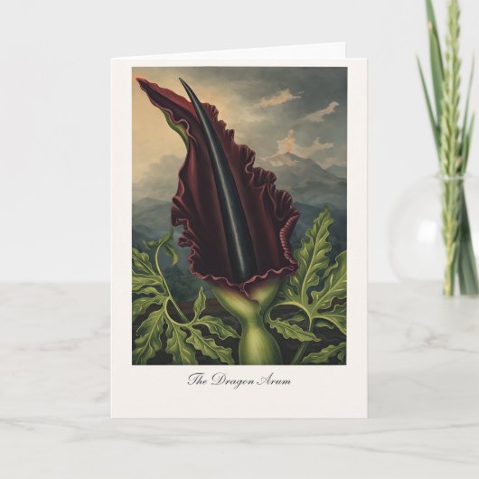 De Dragon Arum — Moderne Botanische Herinterpretat Kaart (Voorkant)