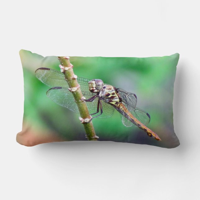 De Dragonfly-piloot Kussen (Voorkant)