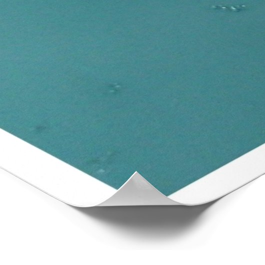 De Dragonfly Poster (Hoek)