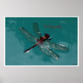 De Dragonfly Poster (Voorkant)