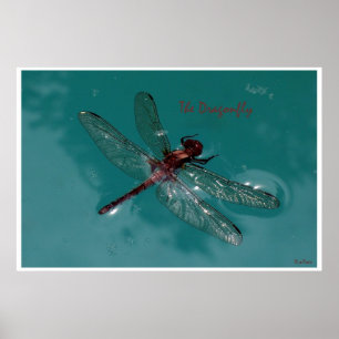De Dragonfly Poster