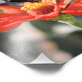 De dramatische one Butterfly foto Afdruk (Hoek)