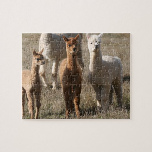 De drie amigo's, alpaca-stijl legpuzzel (Horizontaal)