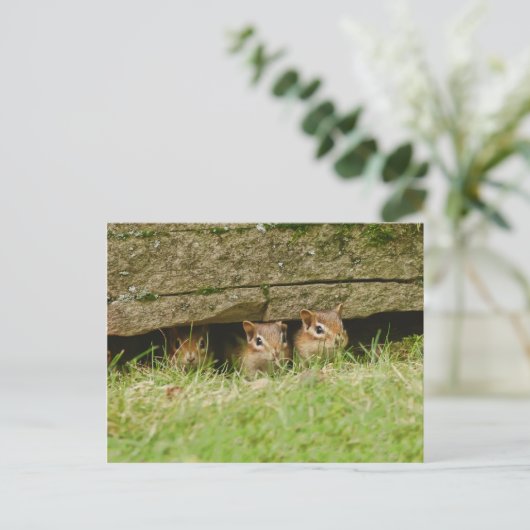 de drie amigos briefkaart (Staand voorkant)