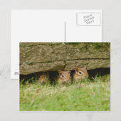 de drie amigos briefkaart (Voorkant / Achterkant)