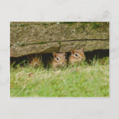 de drie amigos briefkaart (Voorkant)