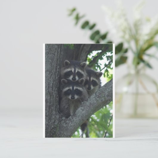 De drie Amigos Briefkaart (Staand voorkant)