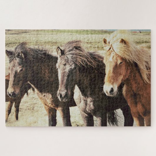 De drie Amigos IJslandse paardenvrienden Legpuzzel (Horizontaal)
