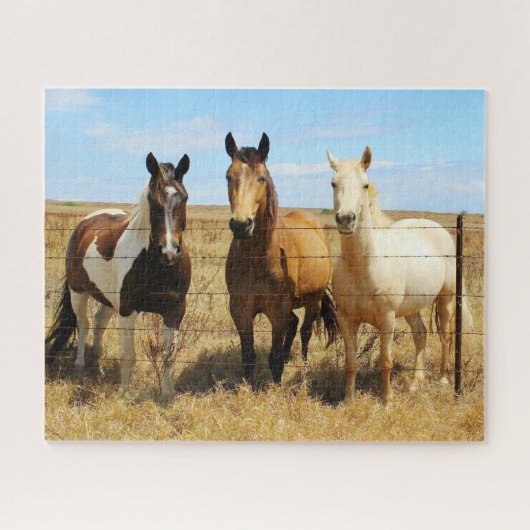 De drie Amigos Paardenvrienden Legpuzzel (Horizontaal)