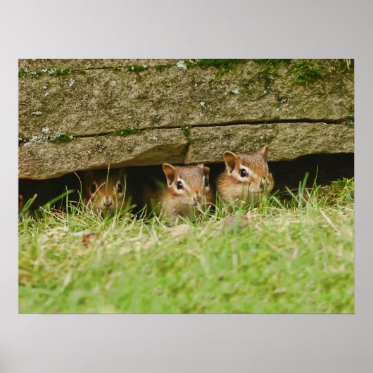 de drie amigos poster (Voorkant)