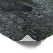 De drie Amigos Poster (Hoek)