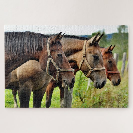De drie Amigos Staring Paard Vrienden Legpuzzel (Horizontaal)