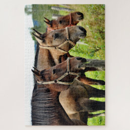 De drie Amigos Staring Paard Vrienden Legpuzzel