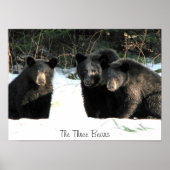 De drie Beren, de drie Beren Poster (Voorkant)