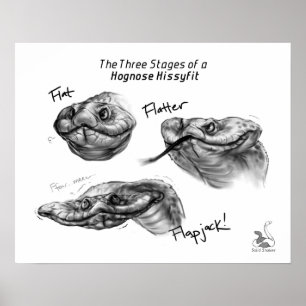"De drie fasen van een Hognose Hissyfit" Poster