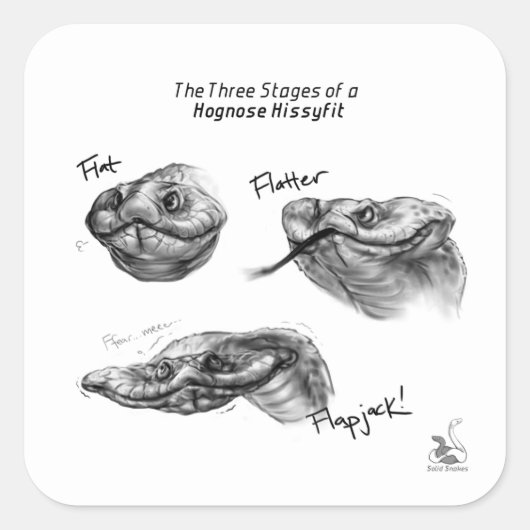 "De drie fasen van een Hognose Hissyfit" Sticker (Voorkant)