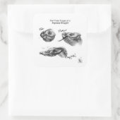 "De drie fasen van een Hognose Hissyfit" Sticker (Tas)