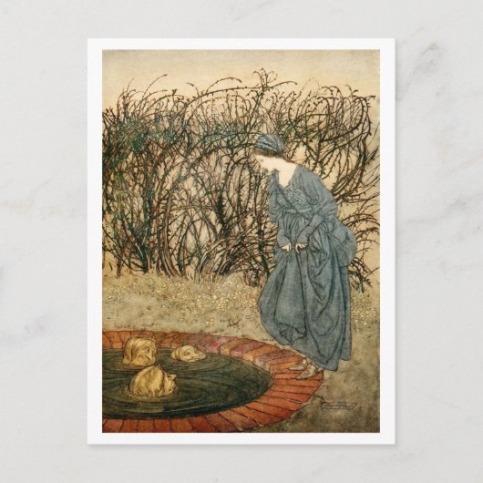 De drie hoofden van de putten briefkaart (Voorkant)