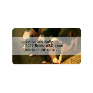 De drie kleine varkens etiket