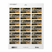 De drie kleine varkens etiket (Full Sheet)