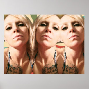 De drie lotgevallen poster