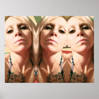 De drie lotgevallen poster