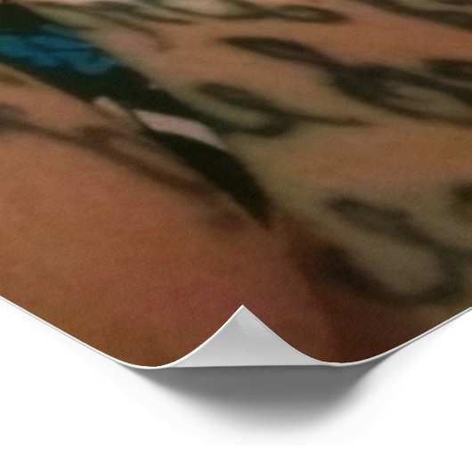 De drie lotgevallen poster (Hoek)