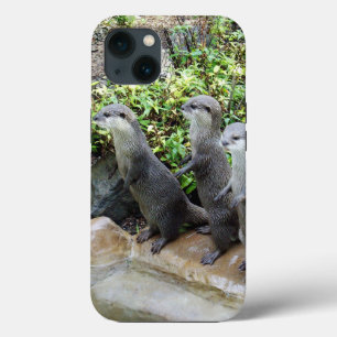 **"De drie musketiers: trio van kleine grijze otte Case-Mate iPhone Case