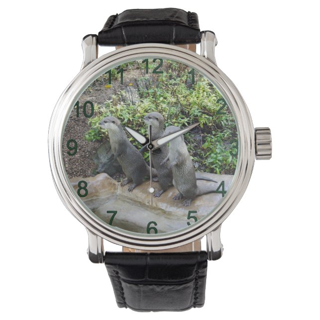 De drie musketiers: trio van kleine grijze otters, horloge (Voorkant)