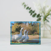 De drie tanden briefkaart (Staand voorkant)